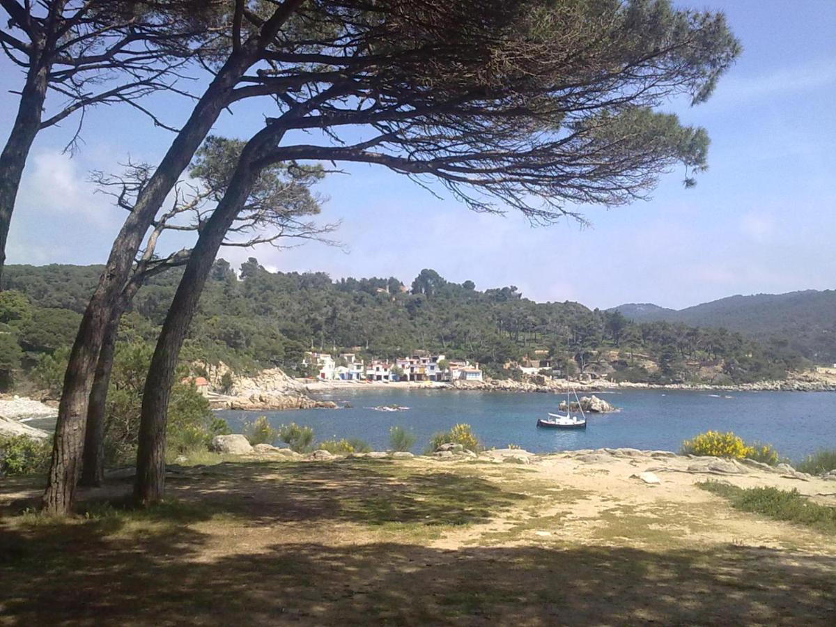 Hotel Ancora Palamós Kültér fotó